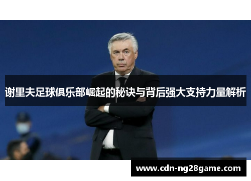 谢里夫足球俱乐部崛起的秘诀与背后强大支持力量解析 谢里夫足球俱乐部崛起的秘诀与背后强大支持力量解析
