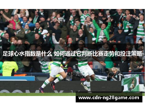 足球心水指数是什么 如何通过它判断比赛走势和投注策略 足球心水指数是什么 如何通过它判断比赛走势和投注策略