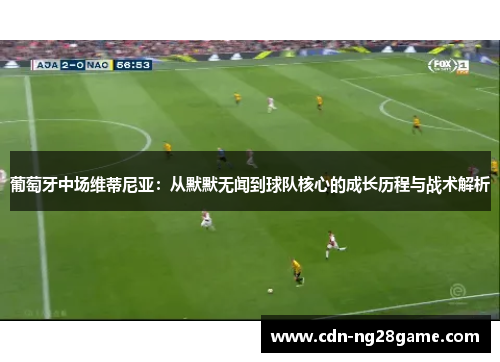 葡萄牙中场维蒂尼亚：从默默无闻到球队核心的成长历程与战术解析